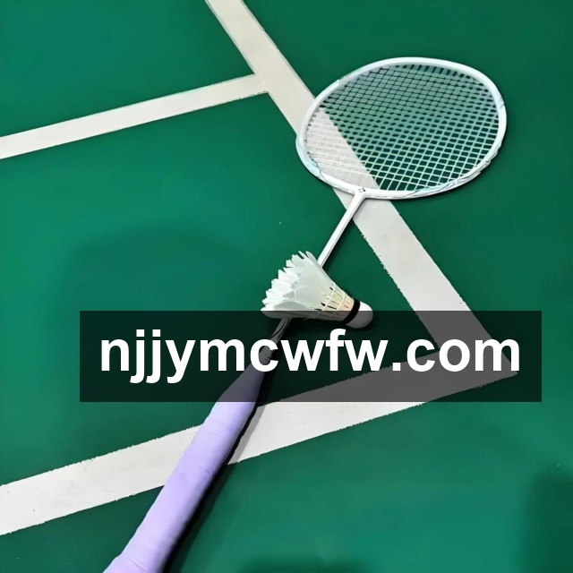 阿瑙托维奇突破历史新高 成为奥地利国家队射手王 打进45球创造新纪录