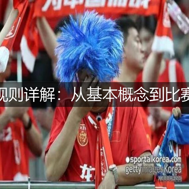 足球规则详解：从基本概念到比赛流程