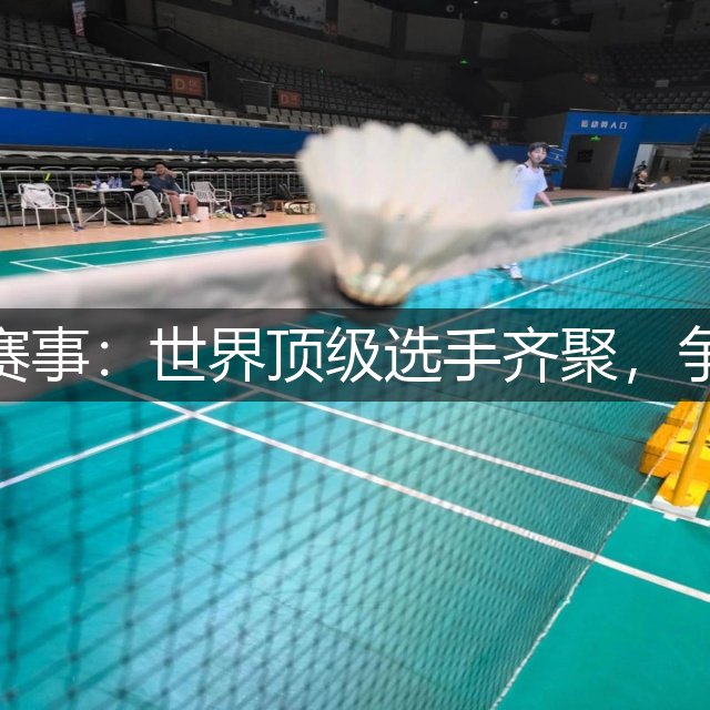 高尔夫最新赛事：世界顶级选手齐聚，争夺冠军荣耀