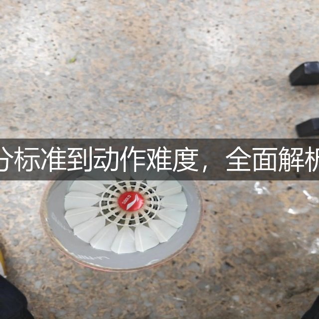 跳水比赛规则详解：从评分标准到动作难度，全面解析这项水上运动的竞技魅力