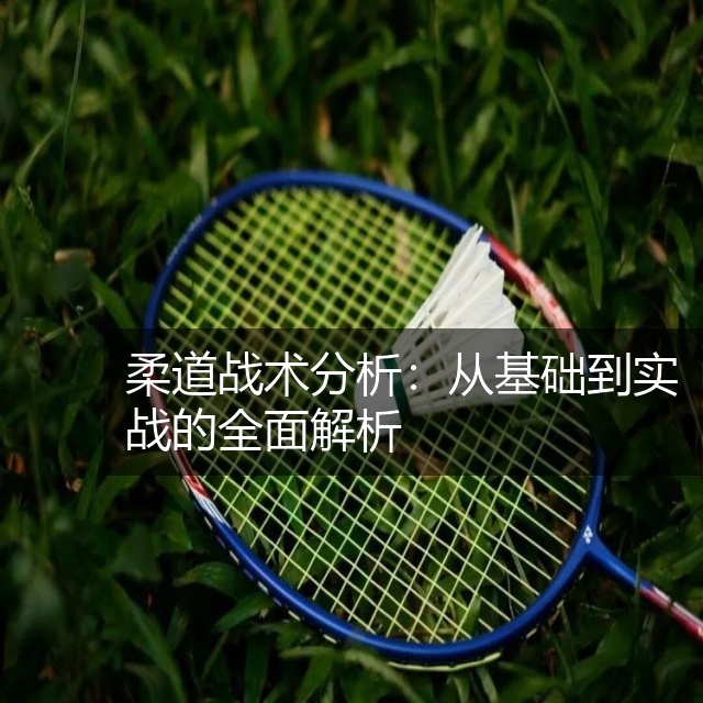 柔道战术分析:从基础到实战的全面解析