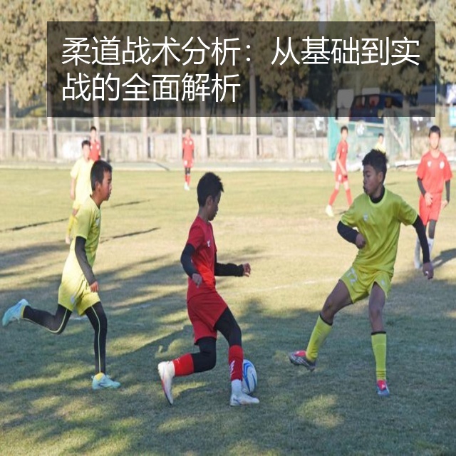 柔道战术分析:从基础到实战的全面解析