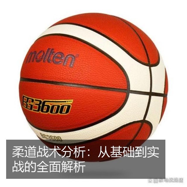 柔道战术分析:从基础到实战的全面解析